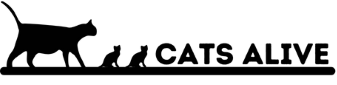 Cats Alive! SLV